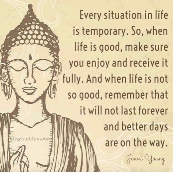 POSH AMBASSADOR II ! - Picture 4 of 8